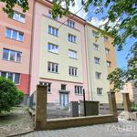 Rent 2 bedroom apartment of 55 m² in Plzeň