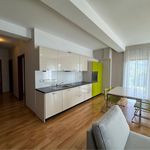 Rent 3 bedroom apartment of 80 m² in Bielsko-biała