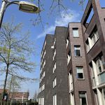 Huur 2 slaapkamer appartement van 44 m² in Amersfoort