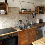 Rent 2 bedroom apartment of 48 m² in Celle