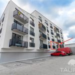 Rent 2 bedroom apartment of 532 m² in Plzeň