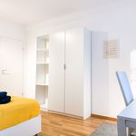 Rent 2 bedroom apartment of 30 m² in Aachen