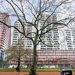 Rent 2 bedroom apartment of 125 m² in Rotterdam
