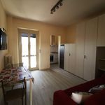Rent 1 bedroom apartment of 30 m² in Torino