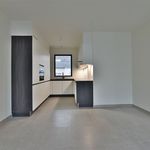 Appartement de 113 m² avec 3 chambre(s) en location à Dendermonde