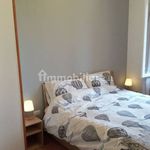 Rent 3 bedroom apartment of 59 m² in Ovindoli