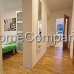 Rent 2 bedroom apartment of 50 m² in Gelsenkirchen