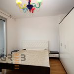 Najam 3 spavaće sobe stan od 155 m² u Srebrnjak