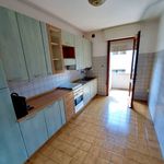 Affitto 4 camera appartamento di 110 m² in Padova