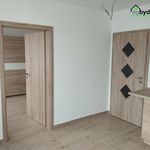 Rent 3 bedroom apartment of 45 m² in Dnešice