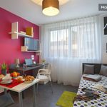 Rent 1 bedroom apartment of 20 m² in Nancy