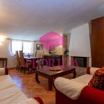 2-room flat excellent condition, ground floor, Martin Pescatore -  Campo Selva, Pomezia