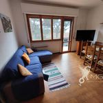 Rent 4 bedroom apartment of 82 m² in Rosignano Marittimo