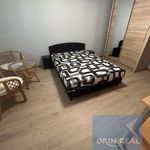Rent 1 bedroom apartment of 35 m² in Zruč-Senec