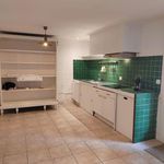 Rent 1 bedroom apartment of 44 m² in Argelliers