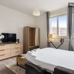 Rent 1 bedroom apartment of 27 m² in Marcq-en-Baroeul