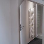 Rent 1 bedroom apartment of 19 m² in Lyon 2e Arrondissement