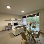 Rent 2 bedroom apartment of 57 m² in Parma