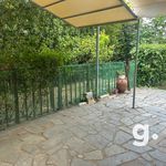 Rent 1 bedroom house of 45 m² in Nea Erythraia