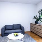 Rent 1 bedroom apartment of 33 m² in Náchod