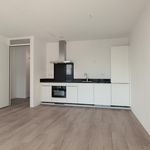 Rent 3 bedroom apartment of 96 m² in Binckhorst