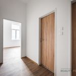 Rent 1 bedroom apartment of 41 m² in Ostrava