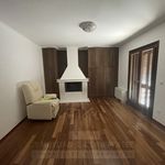 Ενοικίαση 4 υπνοδωμάτιο σπίτι από 320 m² σε Palea Penteli