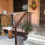 Rent 3 bedroom apartment of 60 m² in Guidonia Montecelio