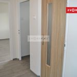 Rent 1 bedroom apartment of 24 m² in Vsetín