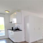 Rent 1 bedroom apartment of 49 m² in Dresden