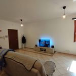 Rent 3 bedroom apartment of 65 m² in Rocca Priora