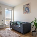 Rent 1 bedroom apartment of 34 m² in Koblenz