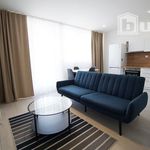 Rent 1 bedroom apartment of 35 m² in Svitavy