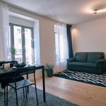 Rent 1 bedroom apartment of 35 m² in Nuremberg
