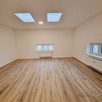 Rent 3 bedroom apartment of 107 m² in Brno