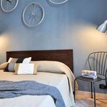 Rent 1 bedroom apartment of 55 m² in Torino