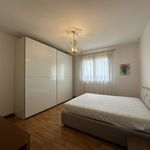 Rent 3 bedroom apartment of 110 m² in Selvazzano Dentro