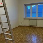 Rent 2 bedroom apartment of 56 m² in Kyjov