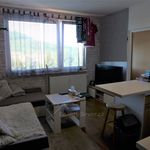 Pronajměte si 1 ložnic/e byt o rozloze 42 m² v Nový Bor