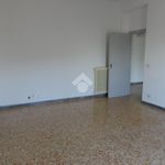 Rent 2 bedroom apartment of 85 m² in Albano Laziale
