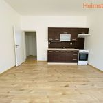Rent 2 bedroom apartment of 47 m² in Ostrava