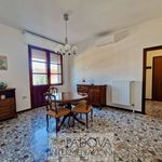 Rent 5 bedroom apartment of 120 m² in Padova
