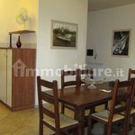 Rent 4 bedroom apartment of 100 m² in Siena