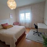Rent a room in Sevilla la Nueva