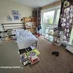 Rent 3 bedroom student apartment in   Hatfield