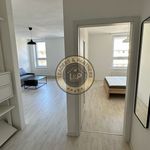 Rent 2 bedroom apartment of 56 m² in Pardubice