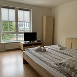 Rent 1 bedroom apartment of 45 m² in Dmosin