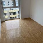 Miete 3 Schlafzimmer wohnung von 89 m² in Essen