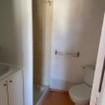 Rent 1 bedroom apartment of 20 m² in Rodez