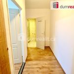 Rent 2 bedroom apartment of 49 m² in Bílina